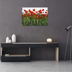 Tablou pe sticlă - Maci în vânt (70x50 cm)