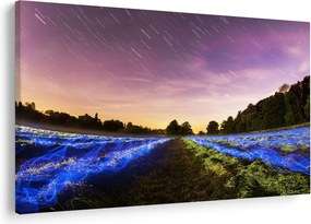Tablou cu câmp colorat (90x60 cm)