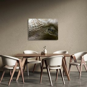 Tablou pe sticlă - Prim-planul ochiului de elefant vechi (70x50 cm)