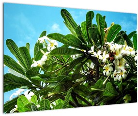 Tablou - Plumeria (90x60 cm)