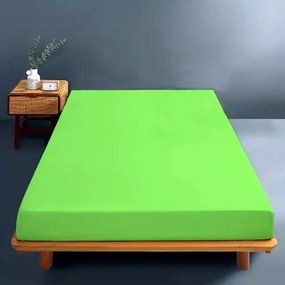 Cearceaf de pat cu elastic, 160x200cm, bumbac, verde