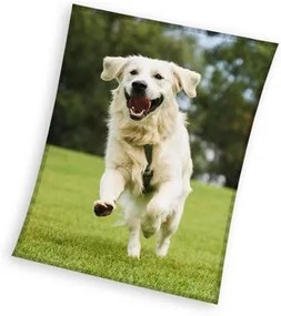 Câine Happytail Retriever plapumă din fleece coral 150x200cm