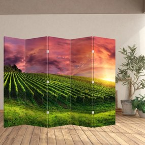 Paravan - Vie cu cerul color (210x170 cm)