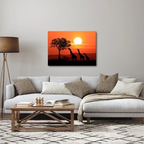 Tablou cu girafe în apus de soare (70x50 cm)