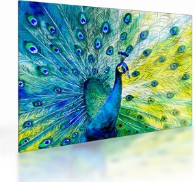 Tablou pe sticlă - Păun (70x50 cm)