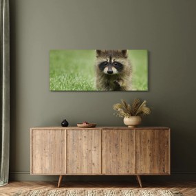 Tablou cu chiuvetă (120x50 cm)
