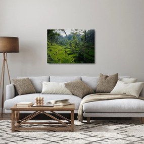 Tablou pe sticlă cu terasele cu orez Tegalalang, Bali (70x50 cm)