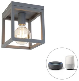 Plafoniera inteligentă industrială gri închis incl. Wifi G95 - Cage