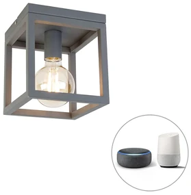 Plafoniera inteligentă industrială gri închis incl. Wifi G95 - Cage