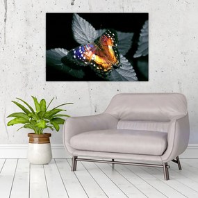 Tablou cu fluture (90x60 cm)