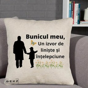 Cadou pentru Bunic - Perna Personalizata Bunicul Meu Izvor de Liniste cu Fluture si Baietel, 40x40 cm, Bej Canapea, Husa Detasabila, Perna Inclusa, BEKZ®