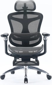 Scaun Ergonomic SIHOO C300, Suport Lombar Inteligent, Tetieră 3D, Cotiere 5D, Șezut Glisant, Spătar Reglabil pe Înălțime, Suport pentru Picioare, Mesh, Negru