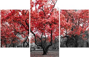 Tablou - Copacii roșii, Central Park, New York (90x60 cm)