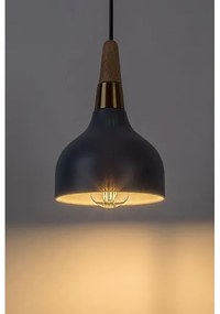 Lustră pe cablu Rabalux 72135 DRUSILLA 1xE27/40W/230V