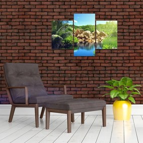 Tablou cu lac în jungla din Seychelles (90x60 cm)