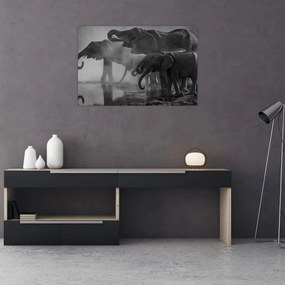 Tablou cu elefanți - albnegru (90x60 cm)