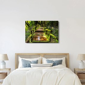 Tablou cu scări într-o pădure tropicală (90x60 cm)