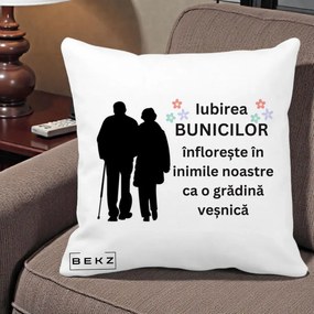 Cadou pentru Bunici - Perna Personalizata Bunicii Iubirea Infloreste Silueta Neagra Flori, 40x40 cm, Alba Mata, Husa Detasabila, Perna Inclusa, BEKZ®