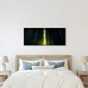 Tablou cu pădurea întunecată (120x50 cm)