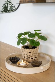 Plantă artificială Panselia (verde). Promo -7%. 1147283