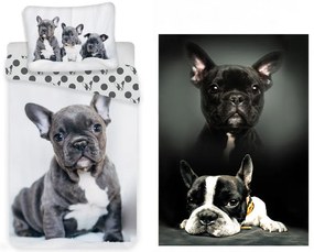 Câine French Bulldogs set de lenjerie de pat și pătură polar