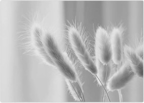 Tablou - Iarbă de coadă de iepure (70x50 cm)