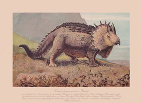 Ilustrație Triceratops prorsus, chromolithograph, published in 1900, ZU_09