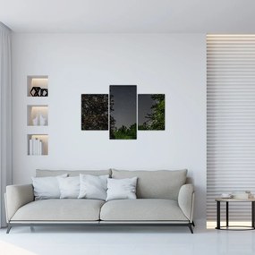 Tablou cu cerul nocturn (90x60 cm)