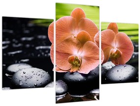 Tablou - Orhidee portocalie cu frunze de palmier (90x60 cm)