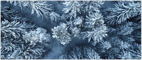 Tablou - Pădure înzăpezită (120x50 cm)