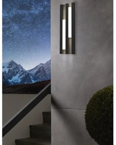 Aplică LED de exterior FANDINA 2xLED/4,2W/230V IP55 Eglo 900118