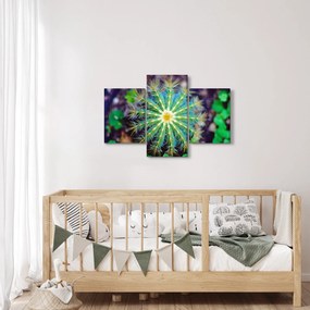 Tablou cu cactus (90x60 cm)