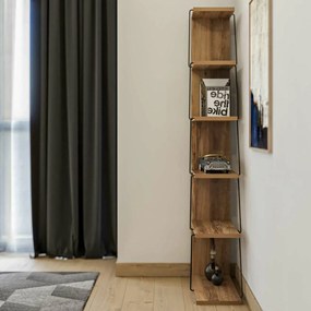Bibliotecă Tlos Pine