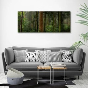 Tablou canvas Ceață în pădure