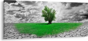 Tablou - O bucată de natură în oraș (120x50 cm)