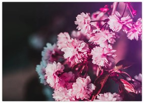 Tablou pe sticlă cu florile copacilor (70x50 cm)