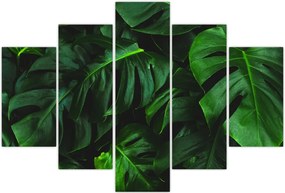 Tablou cu frunze Monstery (150x105 cm)