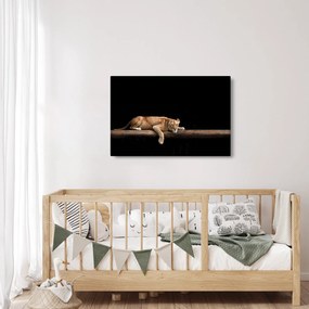 Tablou - Lioness (90x60 cm)