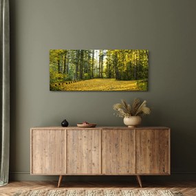 Tablou - pădurea toamna (120x50 cm)