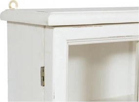 Vitrina suspendata, L48 17 H57 cm