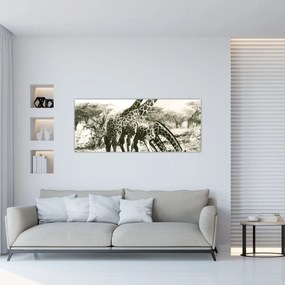 Tablou - Girafe, de epocă (120x50 cm)