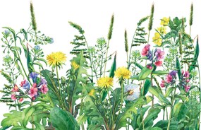 Fototapet - Flori sălbatice de pajiște (147x102 cm)