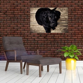Tablou cu cățeluș negru (90x60 cm)