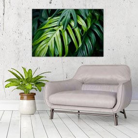 Tablou - Frunze tropicale (90x60 cm)