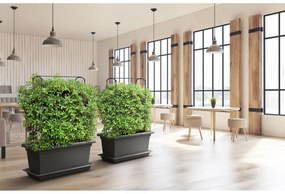 Suport vertical Gardenico Green Wall Magnus, 80cm, 80 cm