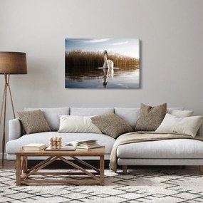 Tablou cu lebăda (90x60 cm)
