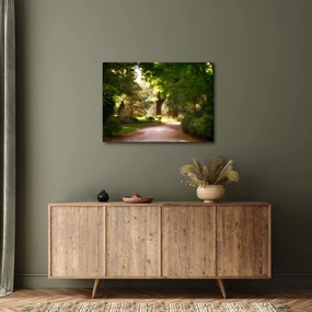 Tablou cu parc (70x50 cm)