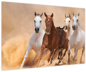 Tablou - Herghelie de cai (90x60 cm)