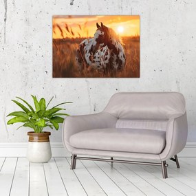 Tablou - Cal la Apus (70x50 cm)