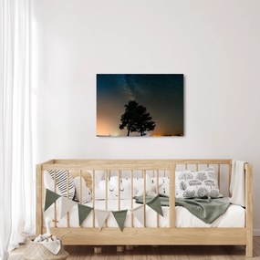 Tablou cu cerul nocturn și copaci (70x50 cm)